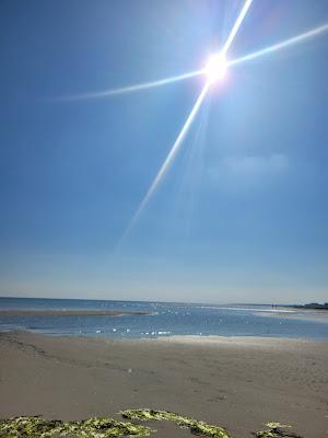 Sandee - Øster Hurup Strand