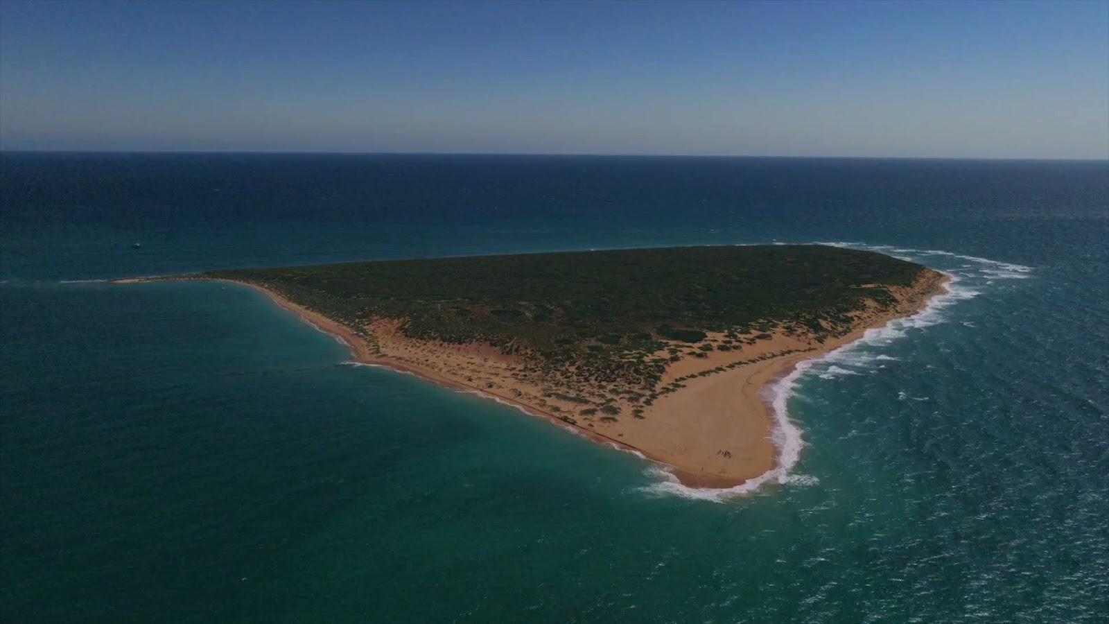 Sandee Bessieres Island