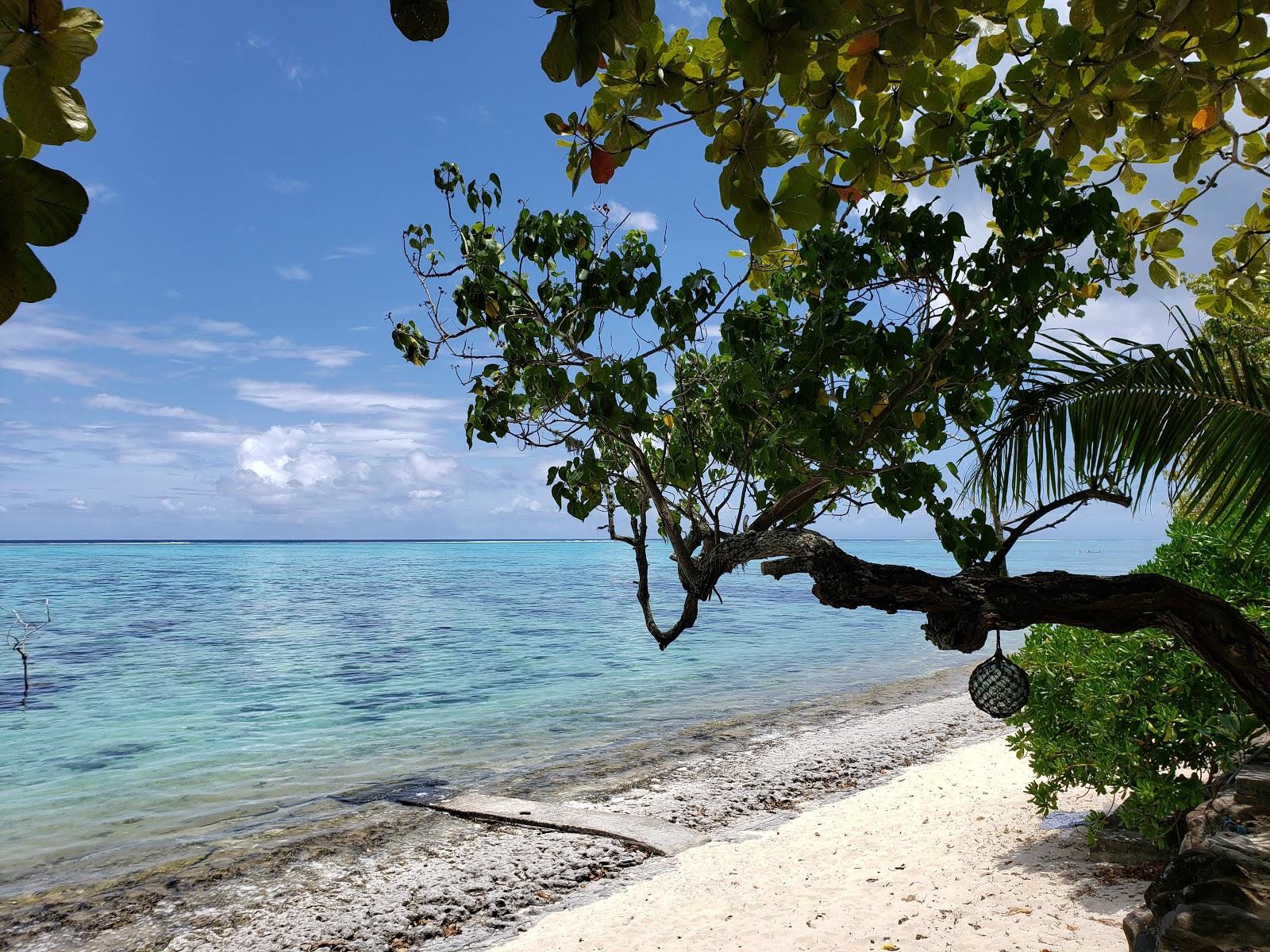 Sandee Pineapple Beach