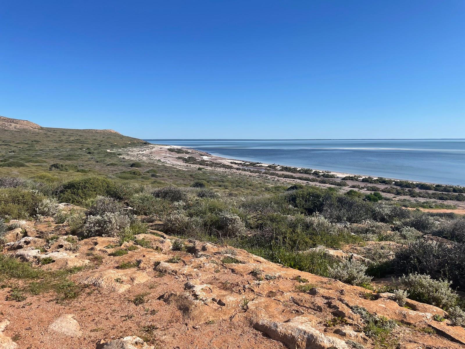 Sandee Whalebone Point