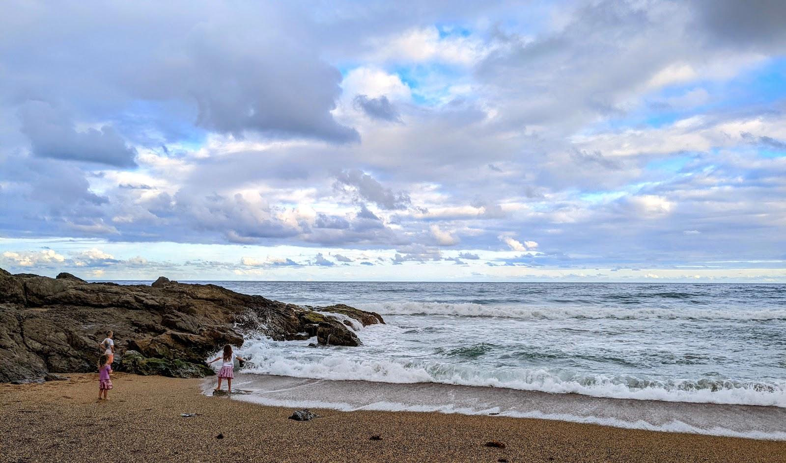 Sandee Opal Cove Beach Photo