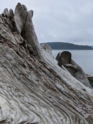 Sandee - Martha's Beach, Laconner, Wa