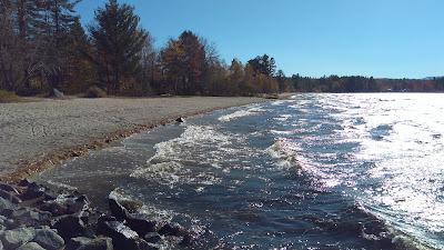 Sandee - Ellis Pond Public Beach