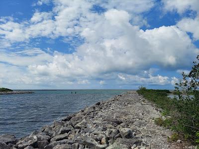 Sandee - Times Beach Nature Preserve