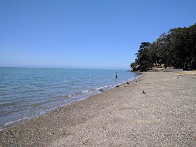 Sandee - Coyote Point Beach