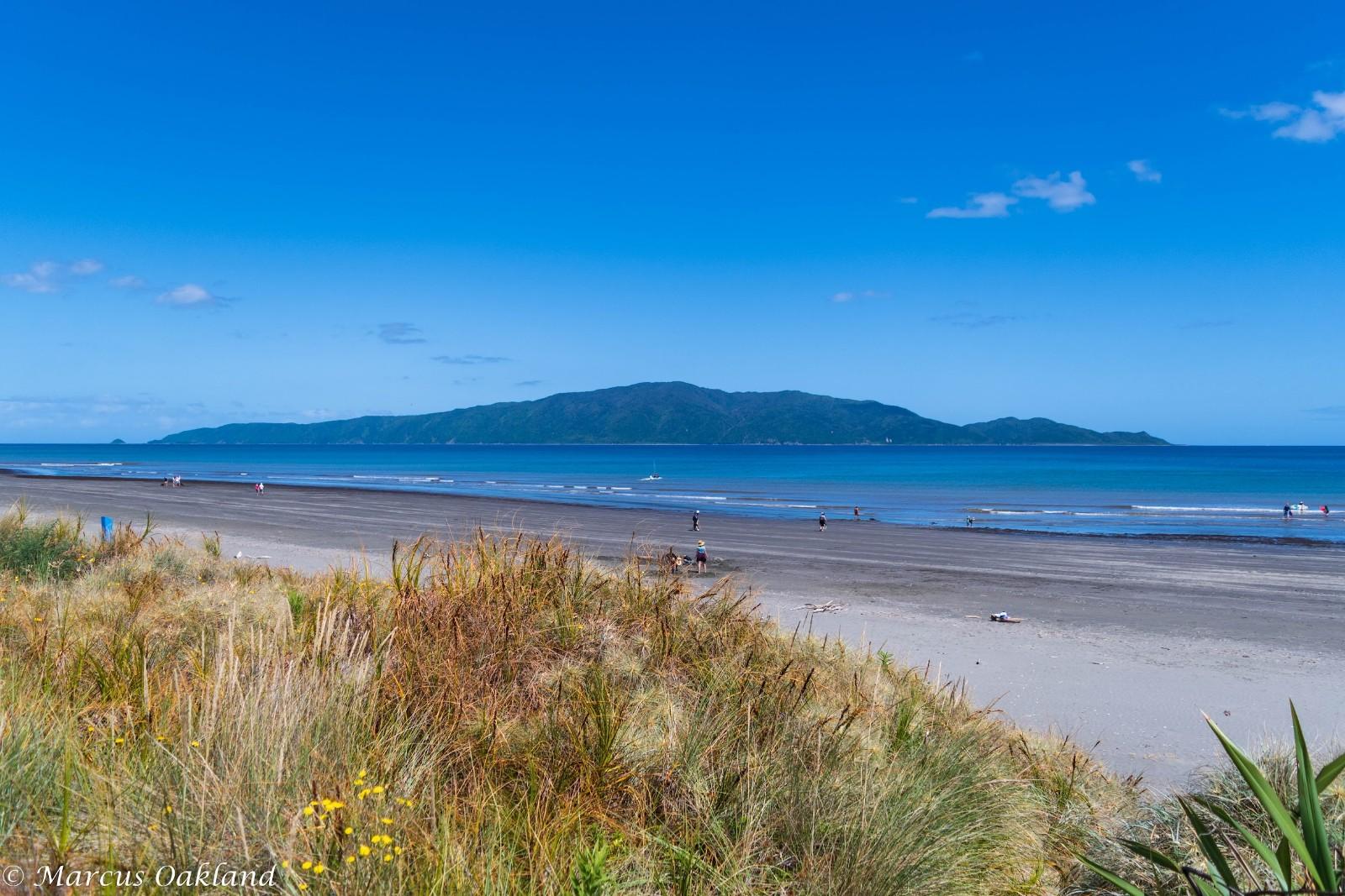 Sandee Waikanae Beach