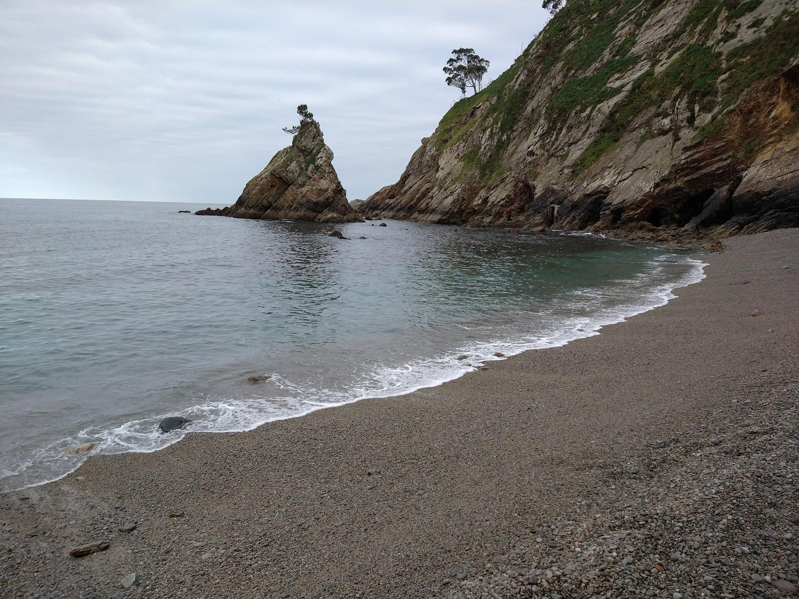 Sandee Playa De El Castrillon