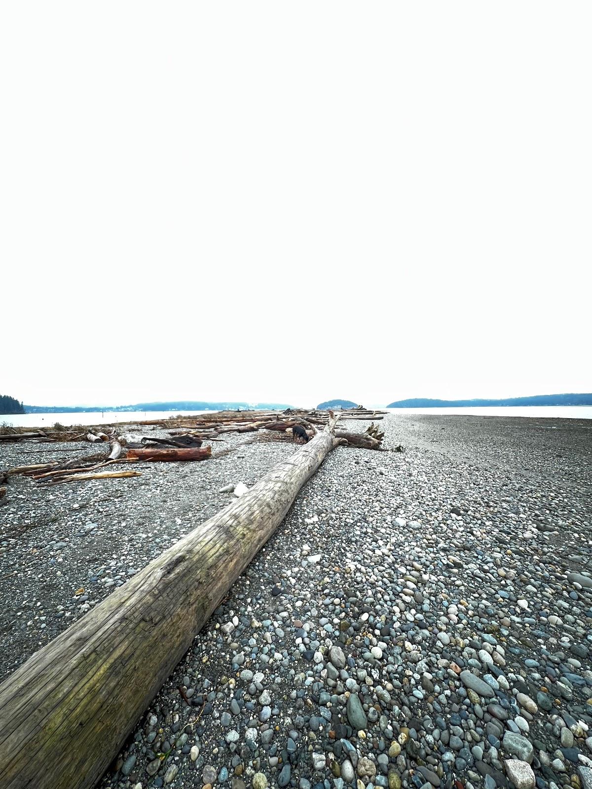 Sandee Dugualla Bay Dike Access
