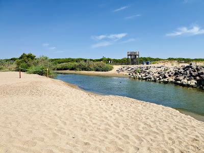 Sandee - Platja De Cal Francesc