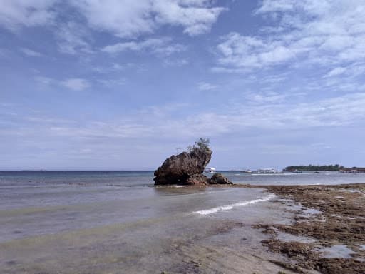 Sandee Jpark Beach Side Photo