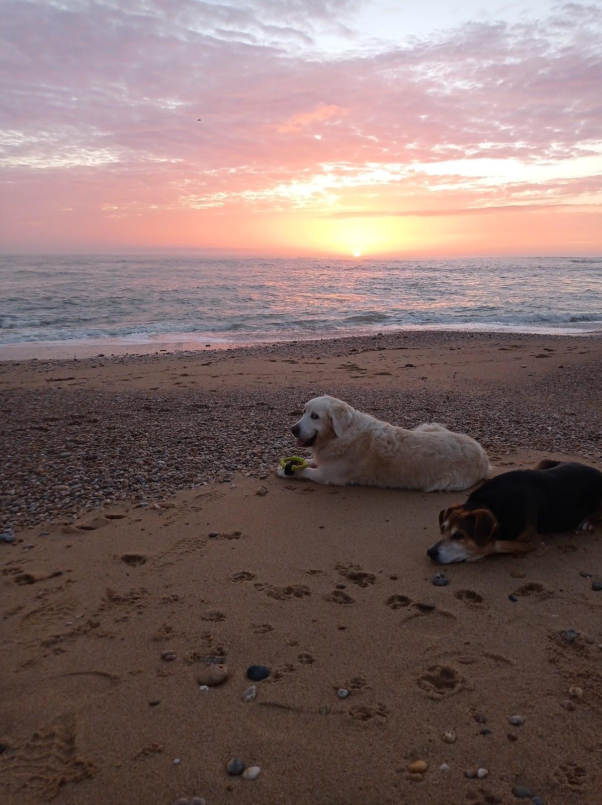 Sandee - Plage Des Dunes