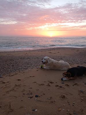 Sandee - Plage Des Dunes