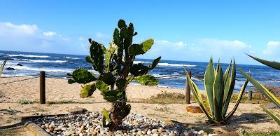 Sandee - Praia De Vila Cha