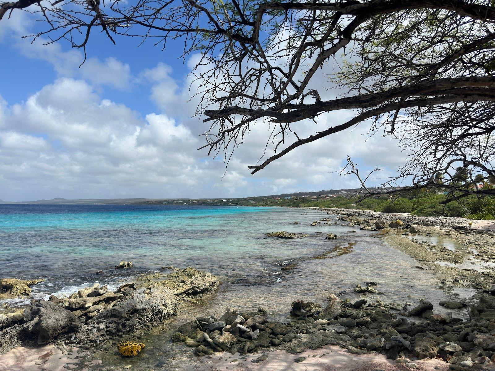 Sandee Andrea I Dive Site