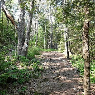 Sandee - Robinson Woods Preserve