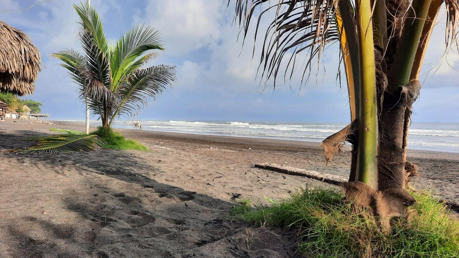 Sandee Playa San Blas