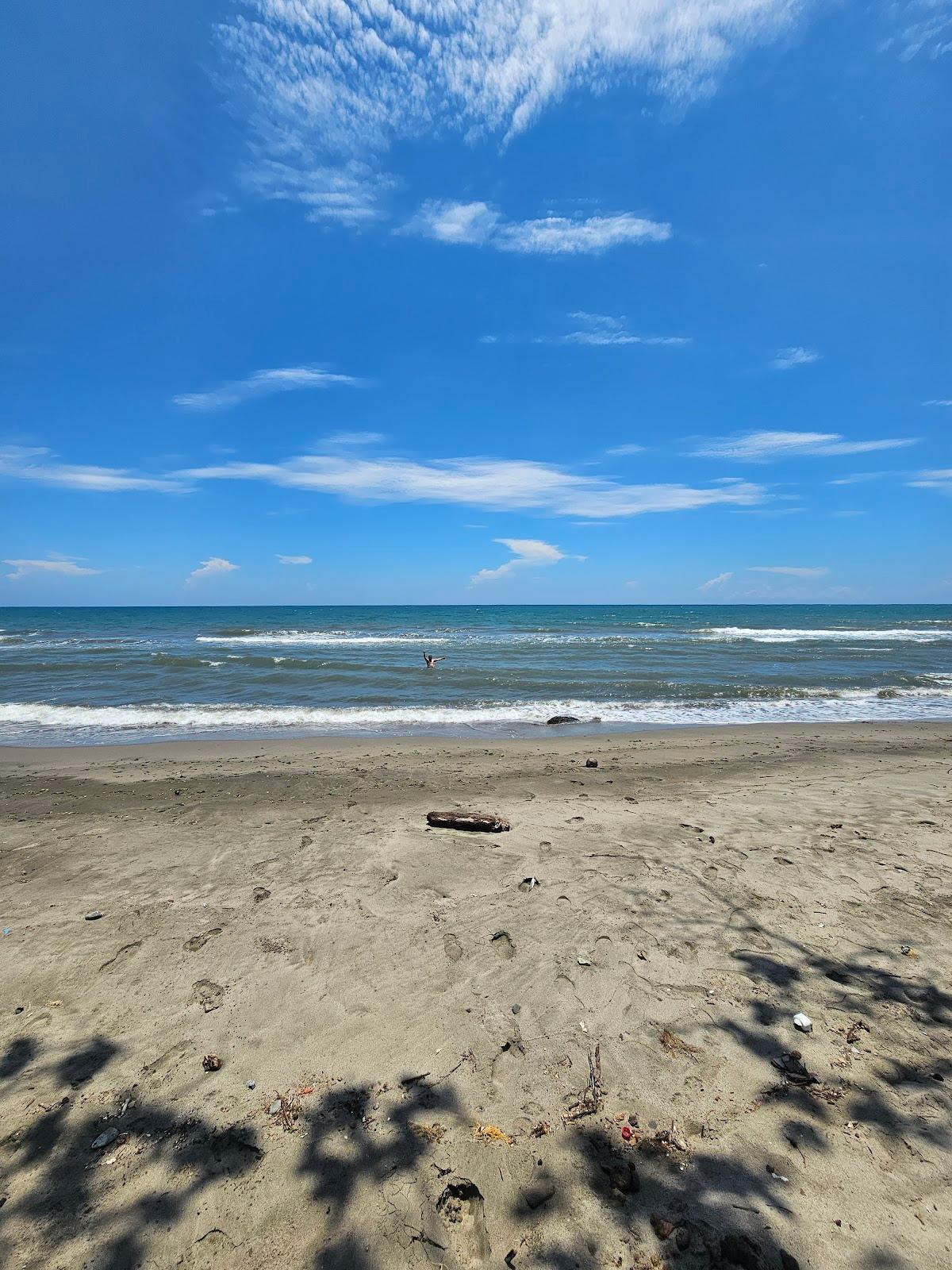 Sandee Playa Bonita, Bonitillo La Ceiba Photo