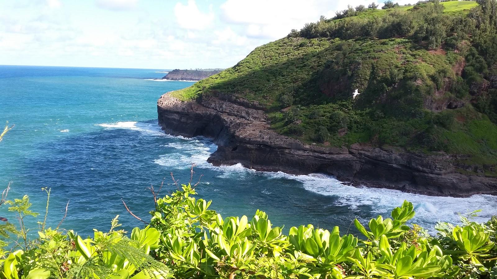 Sandee Kealia Beach