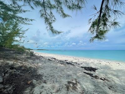 Sandee - Tropic Of Cancer Beach