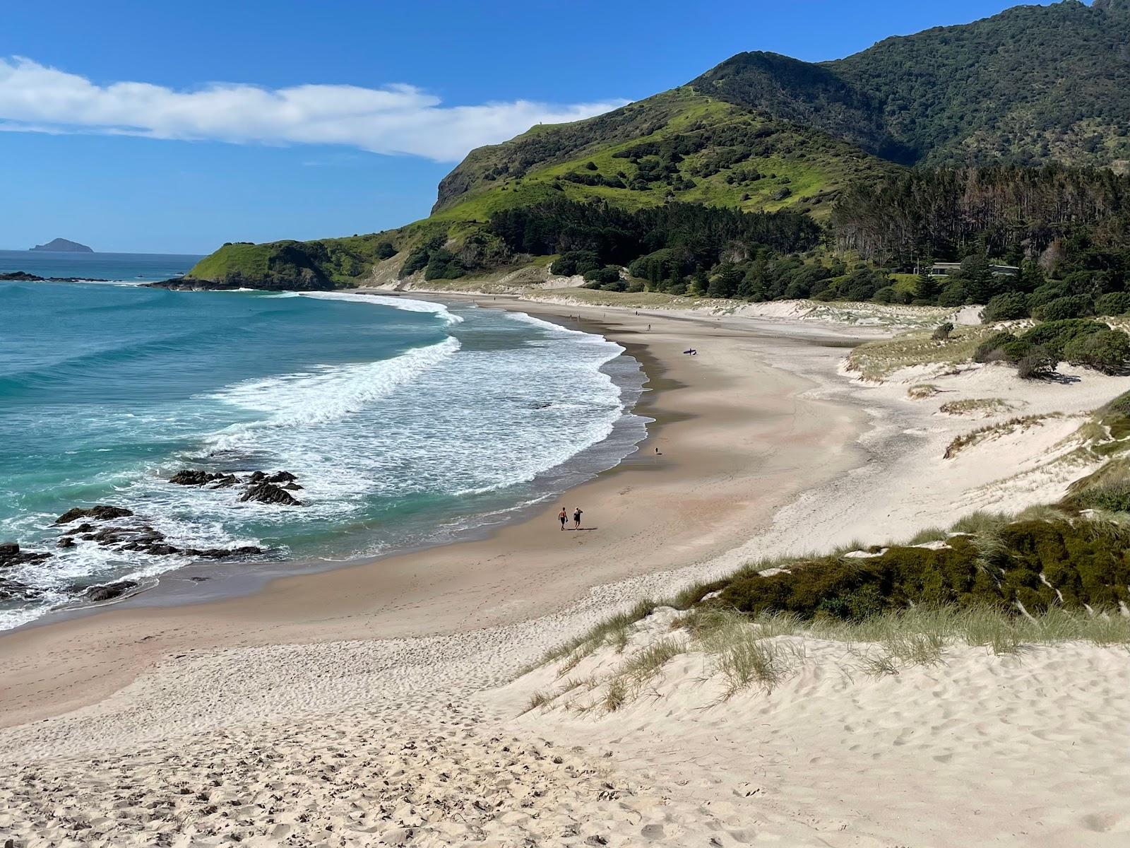 Sandee - Ocean Beach Whangarei