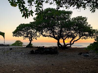 Sandee - Manuka Bay