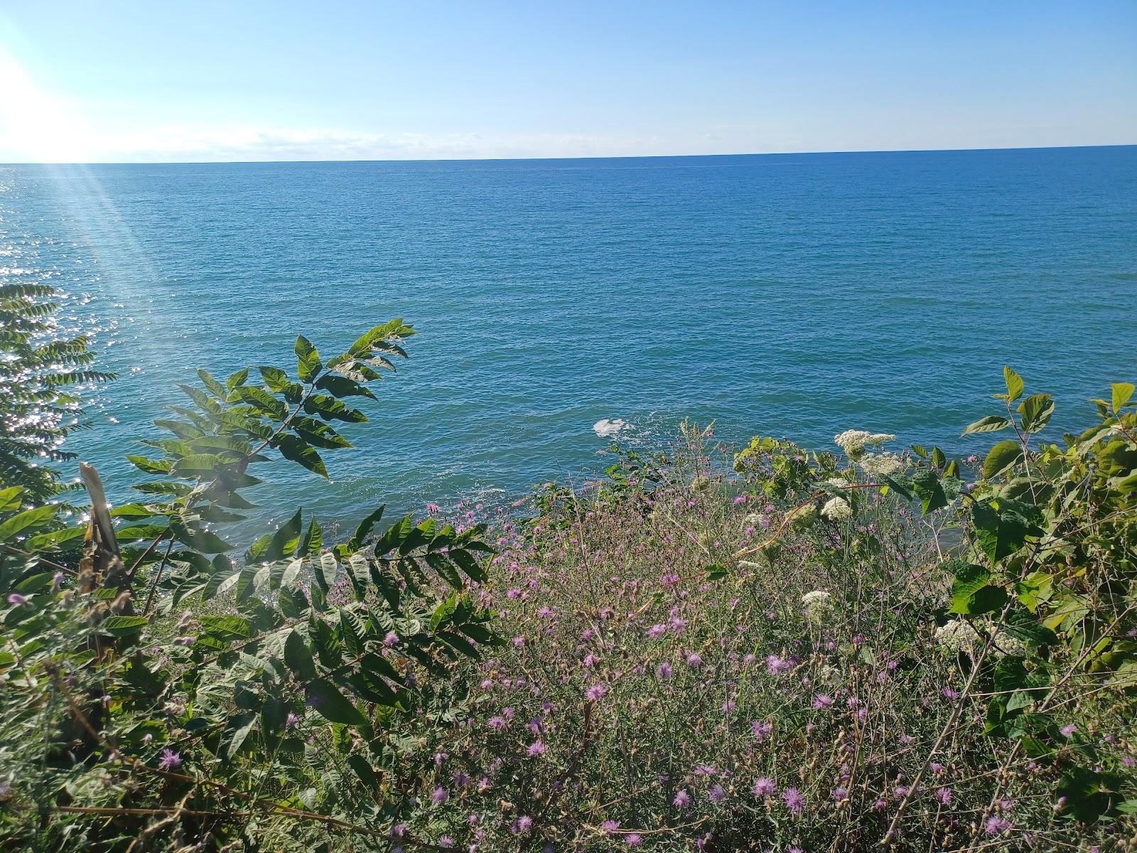 Sandee - Glenlord Beach