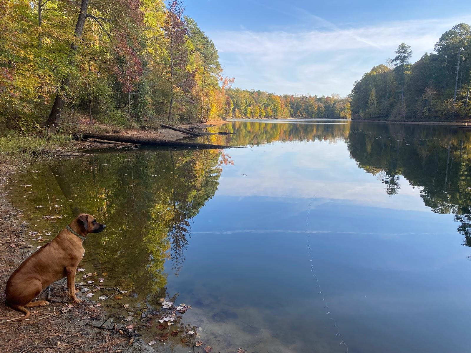 Sandee Kerr Lake Photo