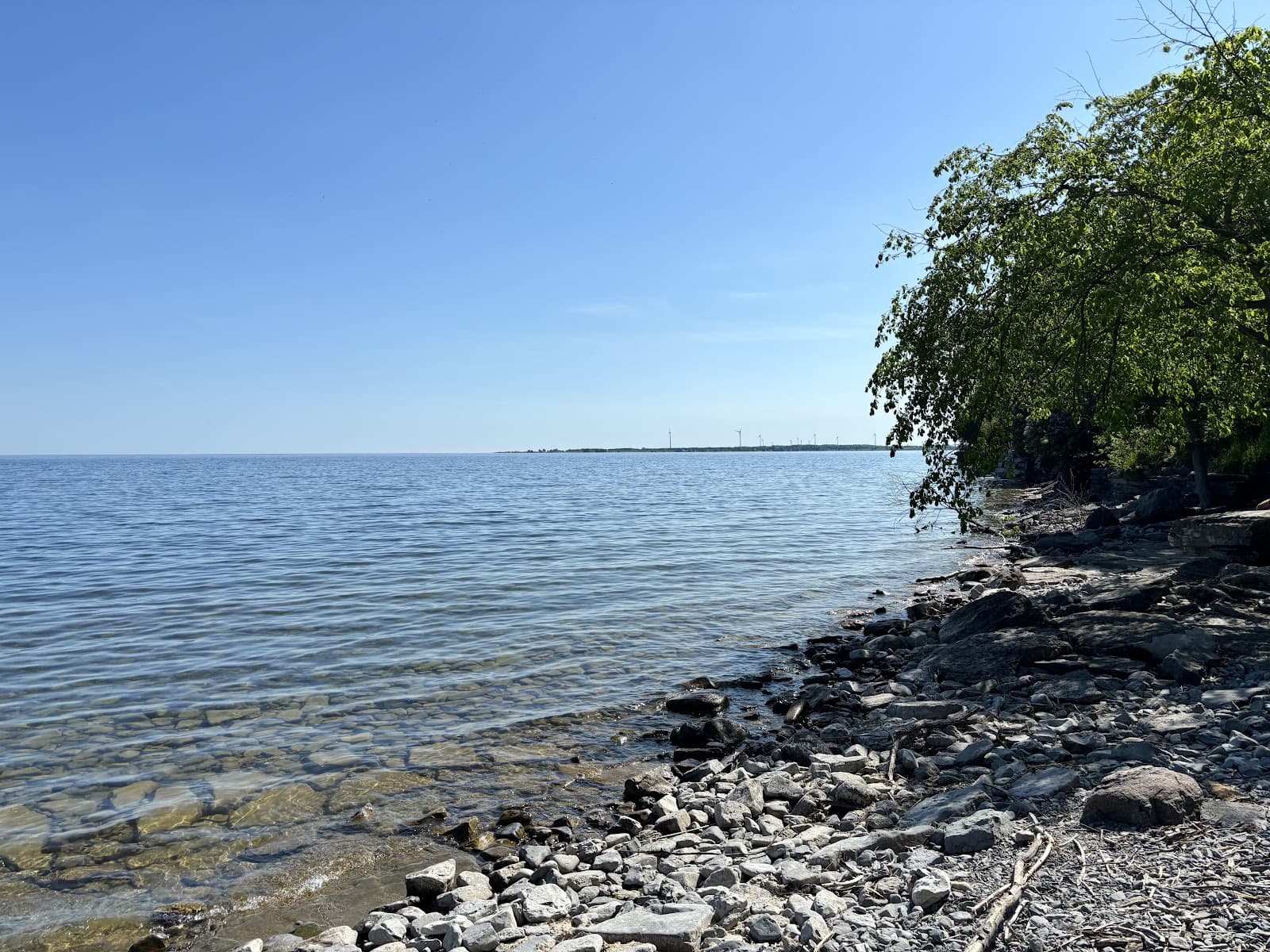 Sandee Shingle Beach Photo