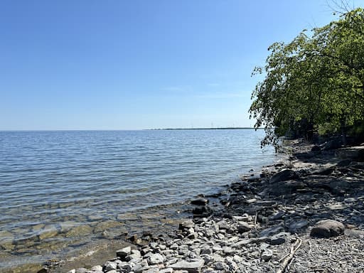 Sandee Shingle Beach Photo