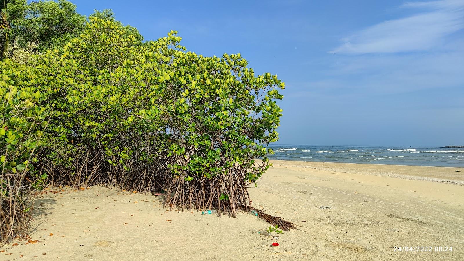 Sandee Kolavi Beach