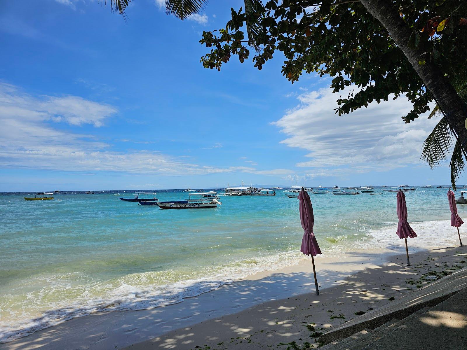 Sandee - Alona Beach