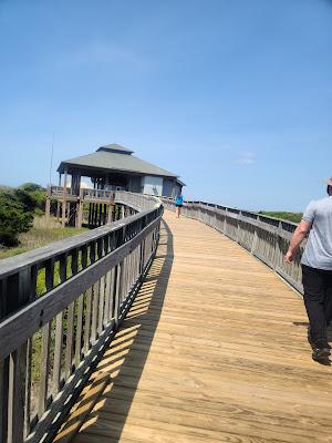 Sandee - Hammocks Beach State Park