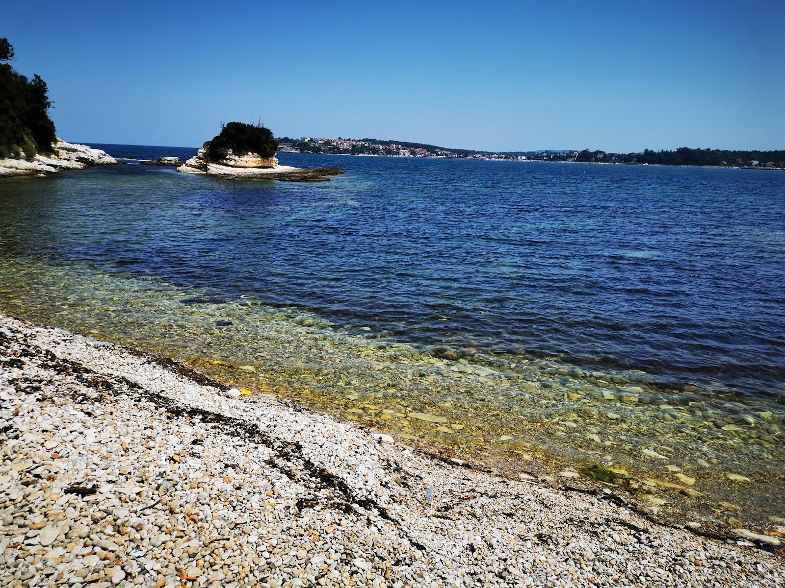 Sandee Black Sea Spit Photo