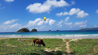 Sandee - Nacpan Beach