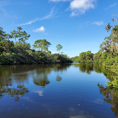 Sandee - Oscar Scherer State Park Beach