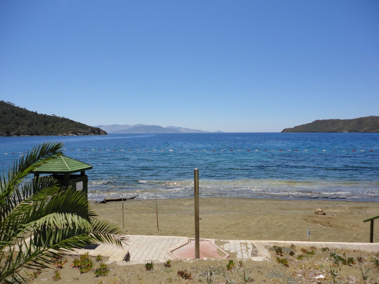 Sandee Aktur Tatil Sitesi