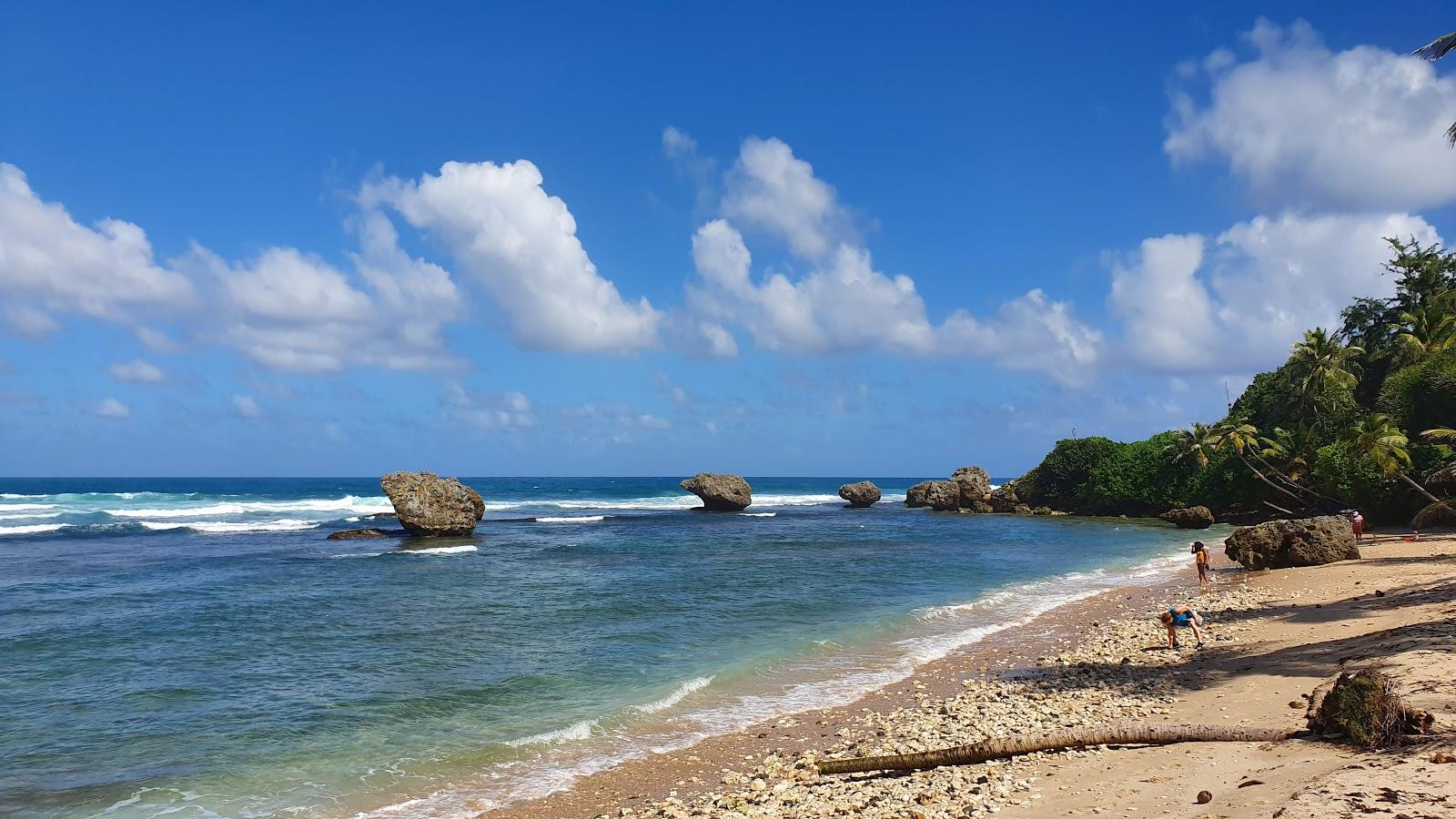 Sandee - HomePage / Barbados