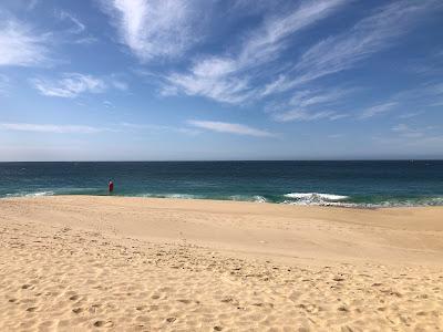 Sandee - Pedregal Beach