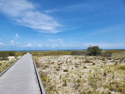 Sandee - Bald Point