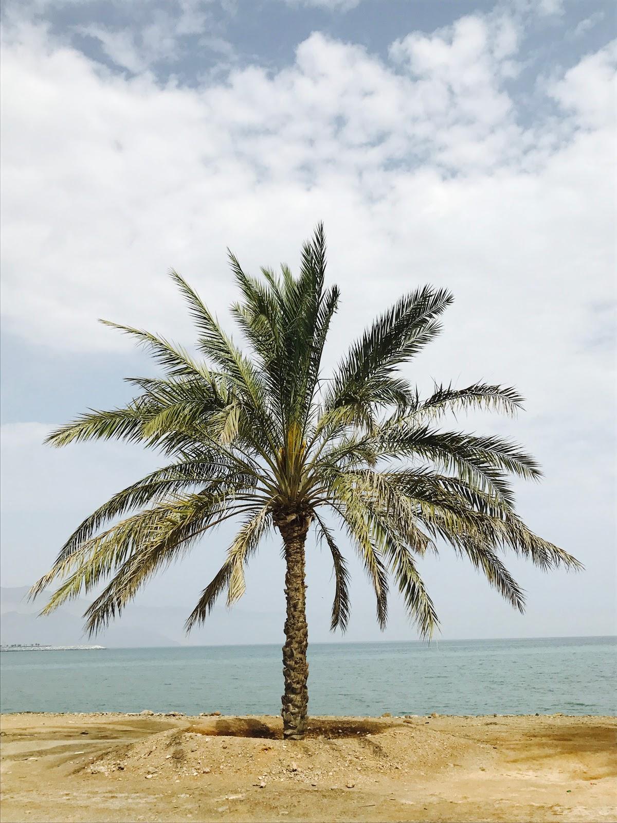 Sandee Sambrid Beach - Dibba