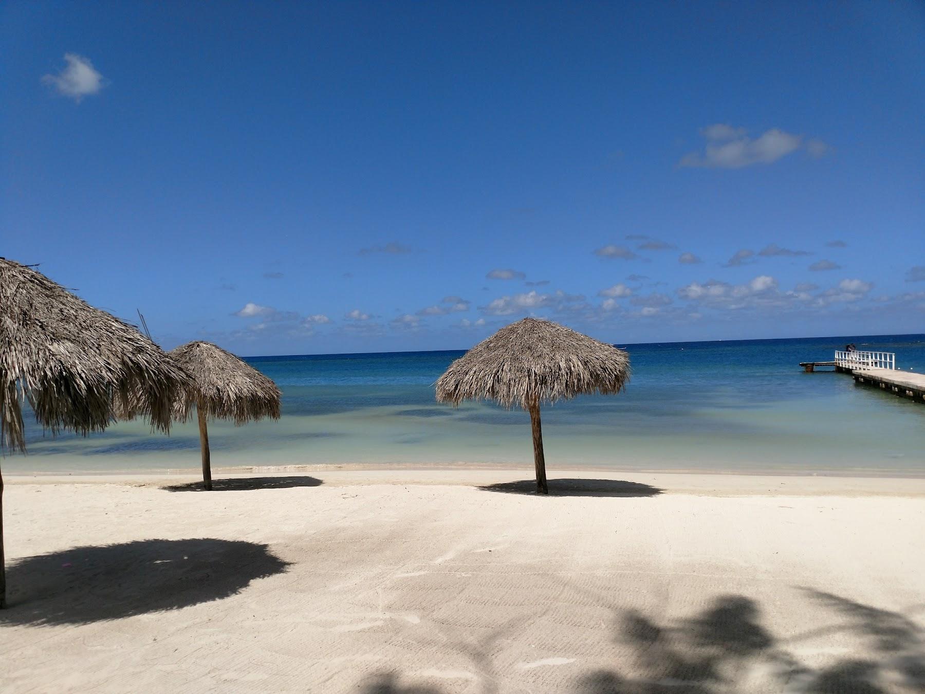 Sandee Tropical Bliss Beach