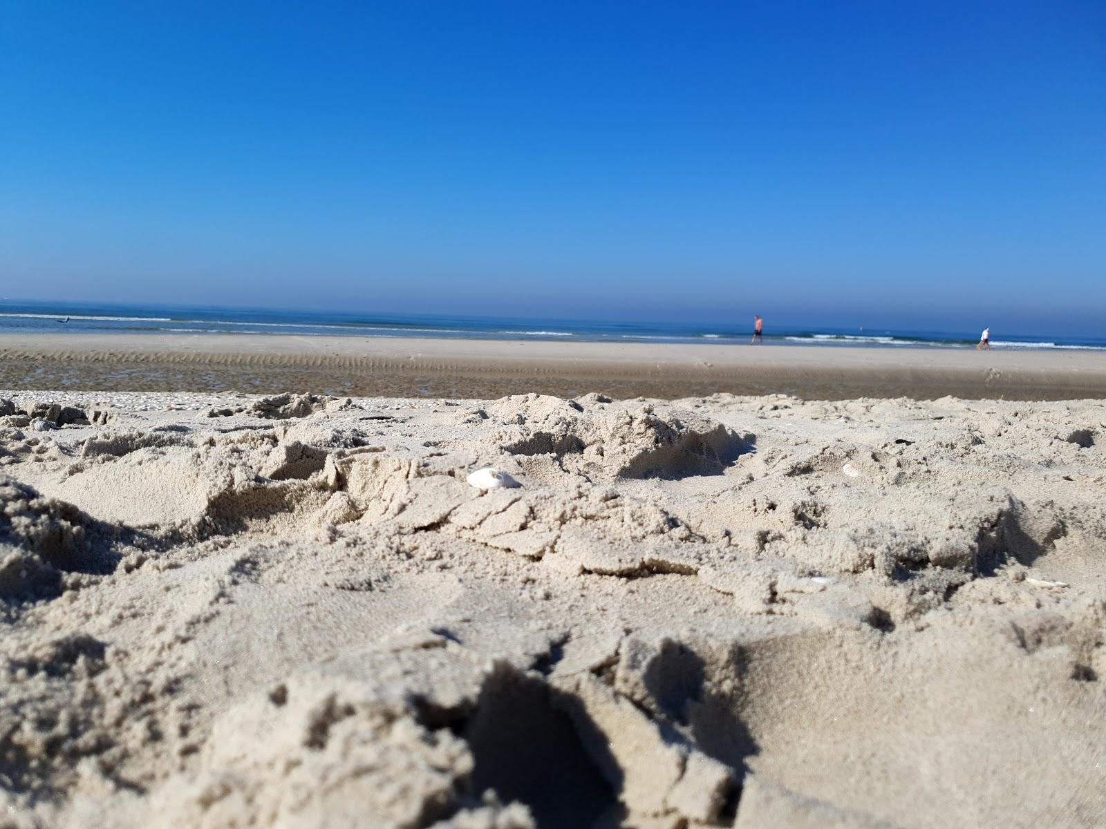 Sandee Hundestrand Von Norddorf