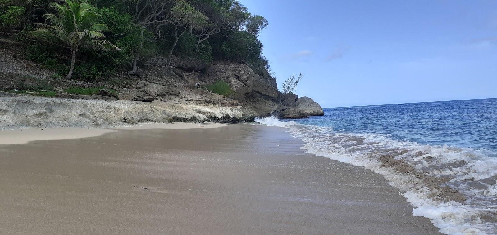 Sandee Stroud Bay