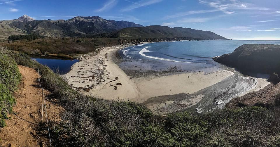 Sandee - Andrew Molera State Park