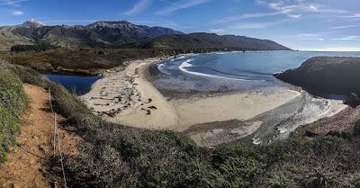 Sandee - Andrew Molera State Park