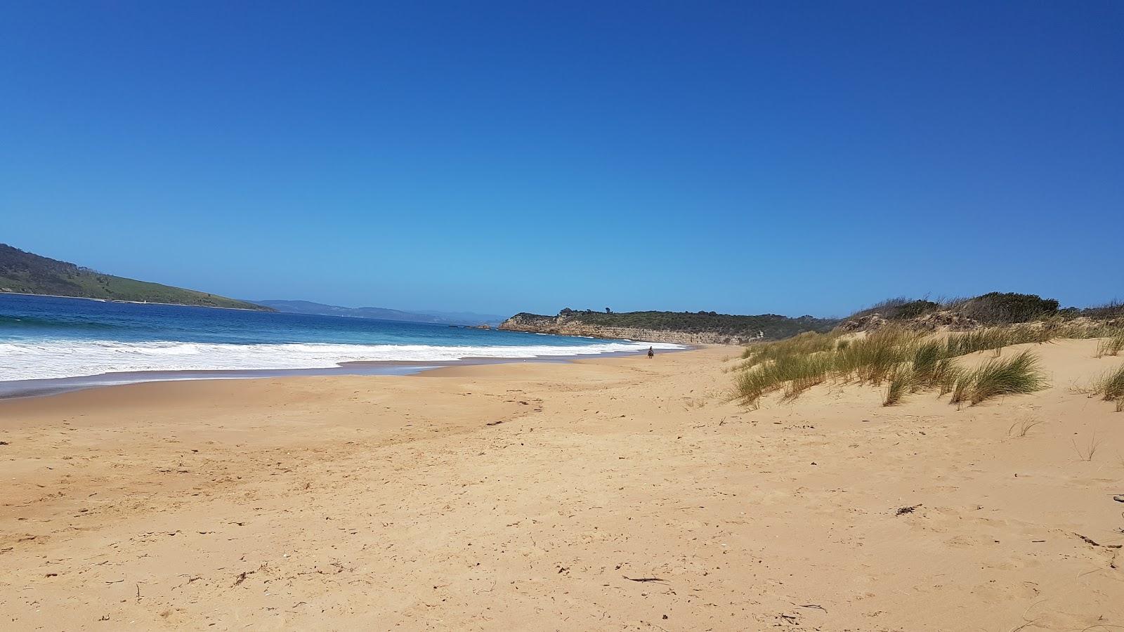 Sandee Goats Beach Photo