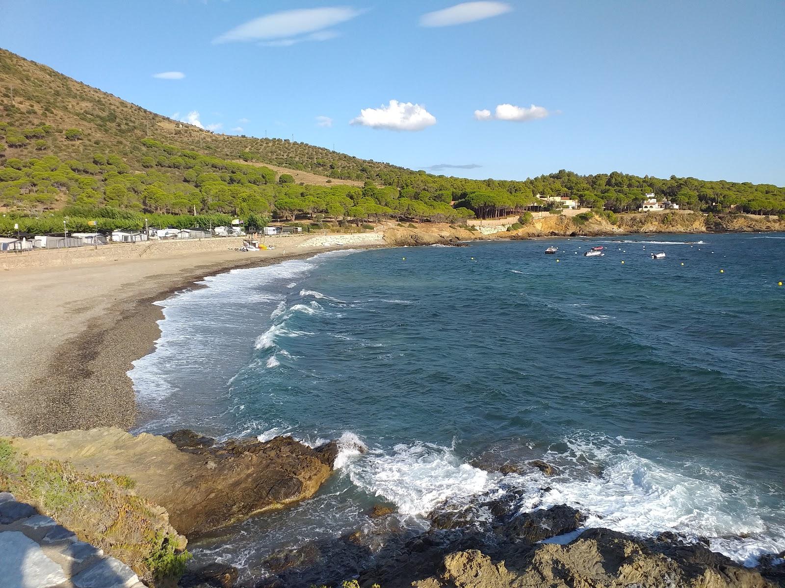 Sandee Port De La Vall Photo