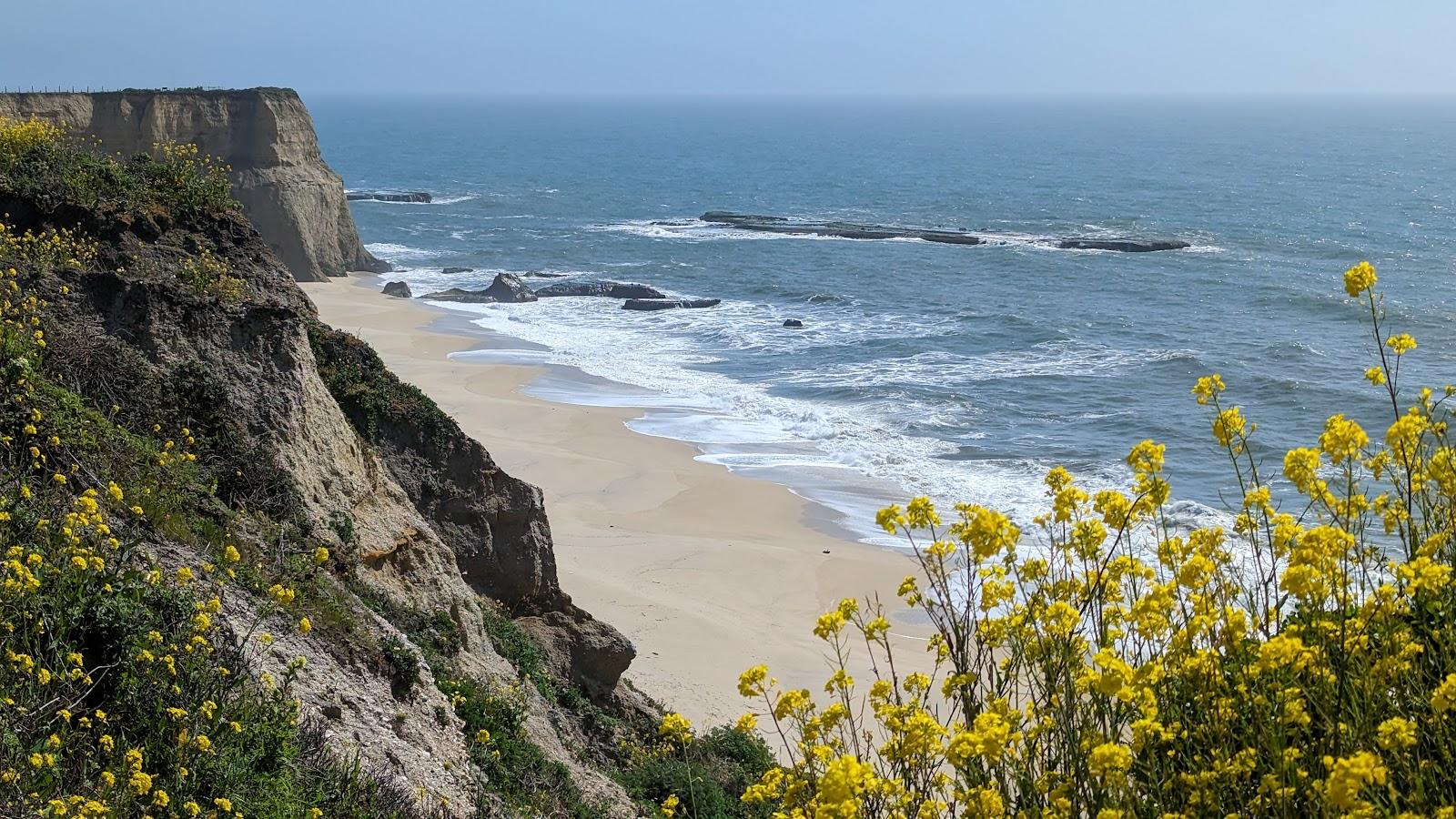 Sandee - Coast Dairies State Park - Davenport Pier Beach