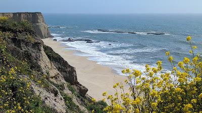 Sandee - Coast Dairies State Park - Davenport Pier Beach