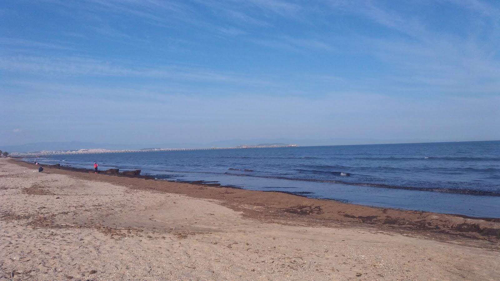 Sandee Spiaggia Di Torre Degli Ulivi